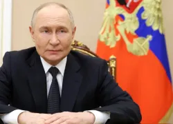 Новости СВО: условия мира от Путина, взятие села у Запорожья и разгром девяти бригад ВСУ