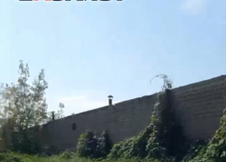 Сорняки в человеческий рост и мусор: мелитопольцы возмутились состоянием территории возле ГСК