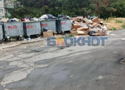 На дикую вонь у магазина «Пингвин» пожаловались жители Днепрорудного 