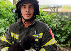 Маленького щенка вызволили из 13-метрового колодца в запорожском посёлке