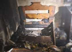 В Мелитопольском районе при пожаре погибла женщина