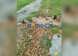 Власти пообещали наказать рублём горе-рабочих, сломавших ливнёвку при уборке дома в Днепрорудном 