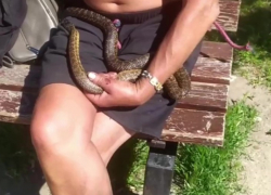 Житель Запорожья пригрел на груди пойманную на улице змею