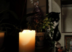 Читатели «Блокнота» массово сообщили о повторном отключении света в Мелитополе и округе