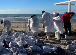 Выяснилось, что заставило Гехт вспомнить о работе в Запорожской области