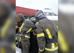 Один человек погиб и двое пострадали в ДТП в Запорожской области