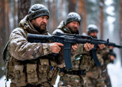 Украина признала прорыв ВС РФ у Малиновки и Полтавки на Запорожском фронте СВО