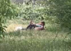 Публичный утренний секс попал на видео в Запорожье