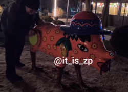 Появилось видео, как запорожец заставил свинью стонать от удовольствия