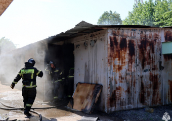 Раскрыты подробности крупного пожара на мелитопольском авторынке