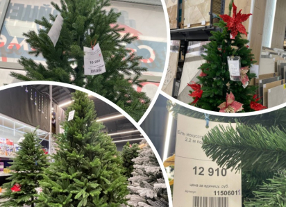 Цена праздника: во сколько обойдется новогодняя ель в Мелитополе в 2025 году