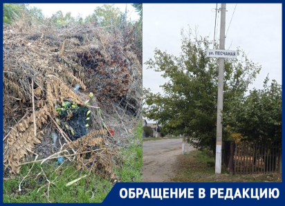 «Могилы утопают в мусоре»: читательница «Блокнота» показала огромную свалку на кладбище в запорожском селе