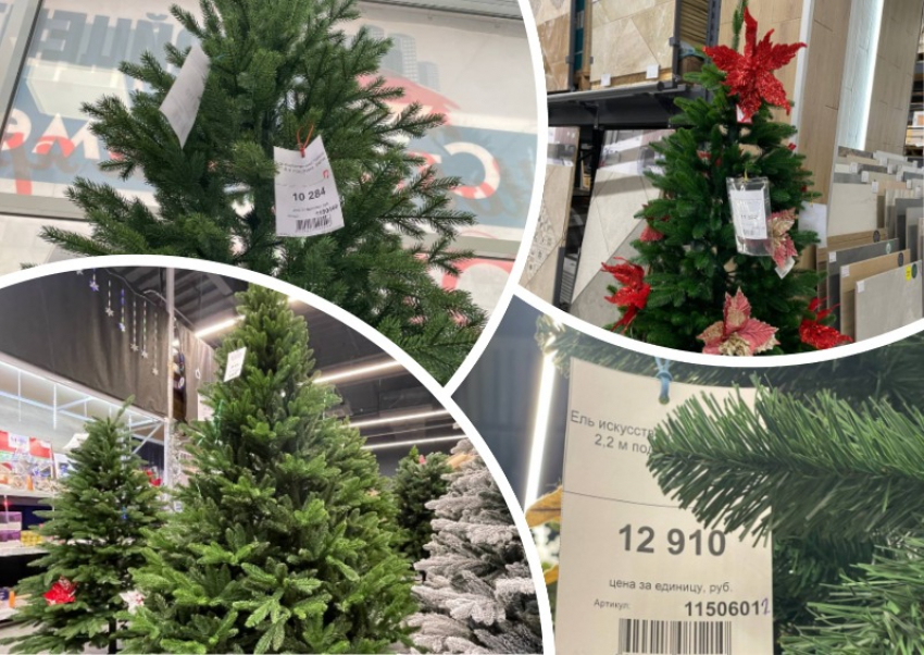 Цена праздника: во сколько обойдется новогодняя ель в Мелитополе в 2025 году