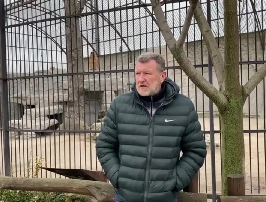 Дрон ВСУ ударил по дому руководителя зоопарка в Васильевке