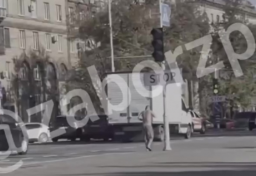 Полуголый запорожец со свистком возомнил себя инспектором ГАИ и попал на видео 