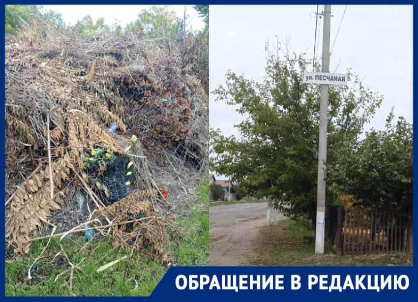 «Могилы утопают в мусоре»: читательница «Блокнота» показала огромную свалку на кладбище в запорожском селе