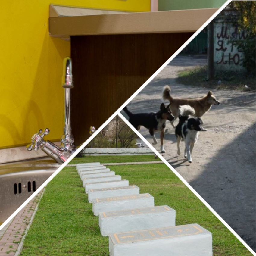 Новости Запорожья: бродячие собаки кошмарят жителей Днепрорудного, отключение воды в Михайловке и начало подготовки ко Дню Победы