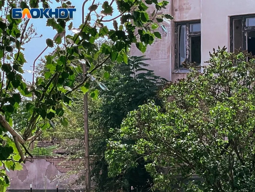 Мирная жительница тяжело ранена при атаке дрона ВСУ в Каменке-Днепровской