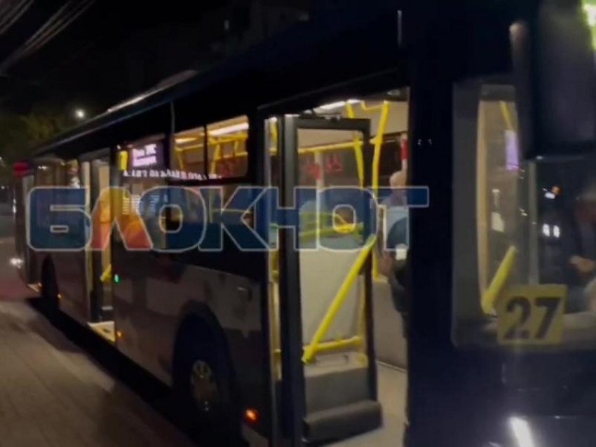 Мелитопольцы показали, как выглядят новые автобусы изнутри