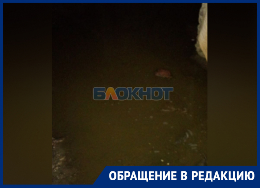 Говно-потоп в подвале полуразрушенного от удара ВСУ дома показала жительница Васильевки