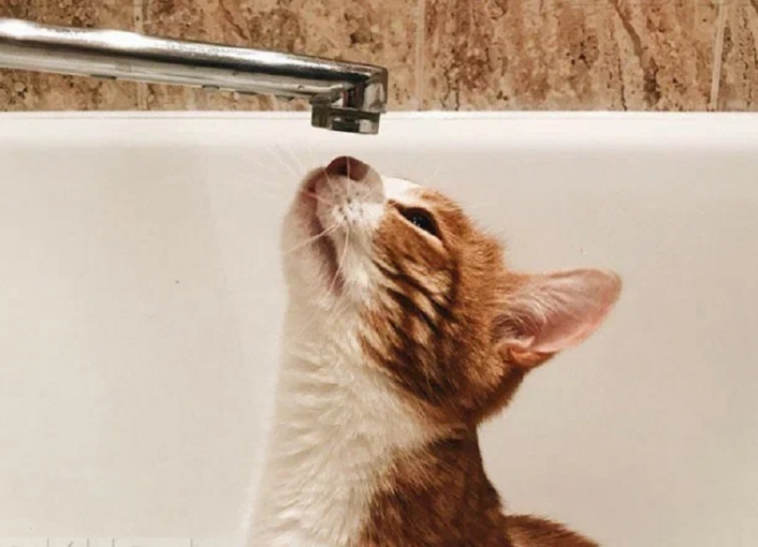 Почему напор воды резко снизился в Мелитополе, раскрыли в мэрии