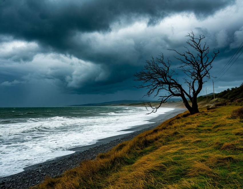 Штормовое предупреждение из-за сильного ветра объявлено в Запорожской области