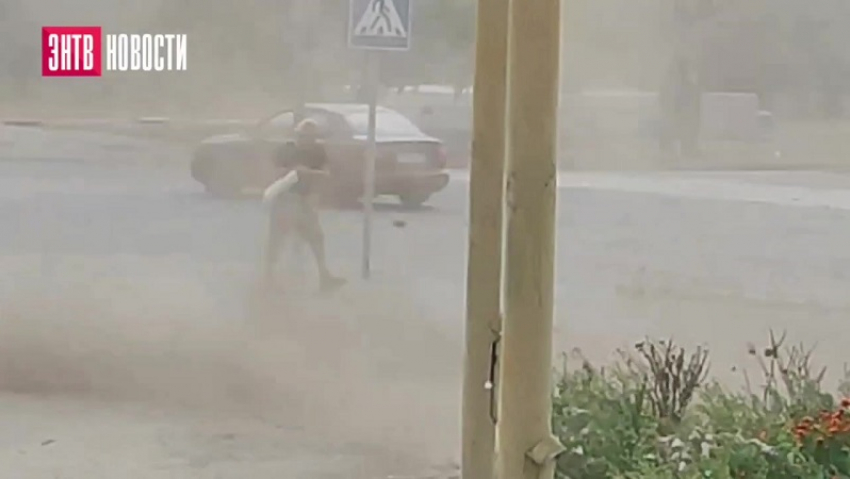 Появились кадры мощной пыльной бури, повалившей деревья в Энергодаре