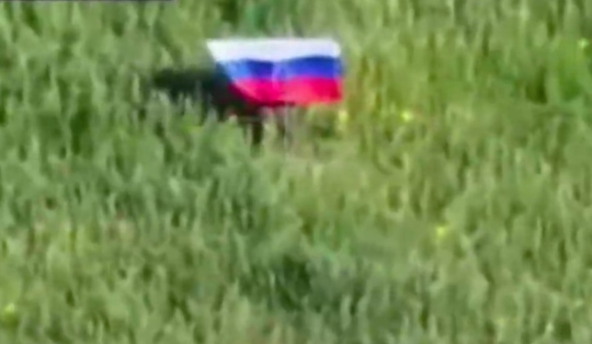 ВС РФ освободили Шевченковское на Запорожском фронте СВО