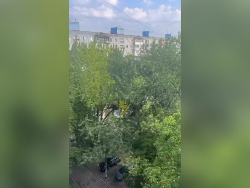 «По нему психушка плачет»: украинцу привиделся Путин в Запорожье