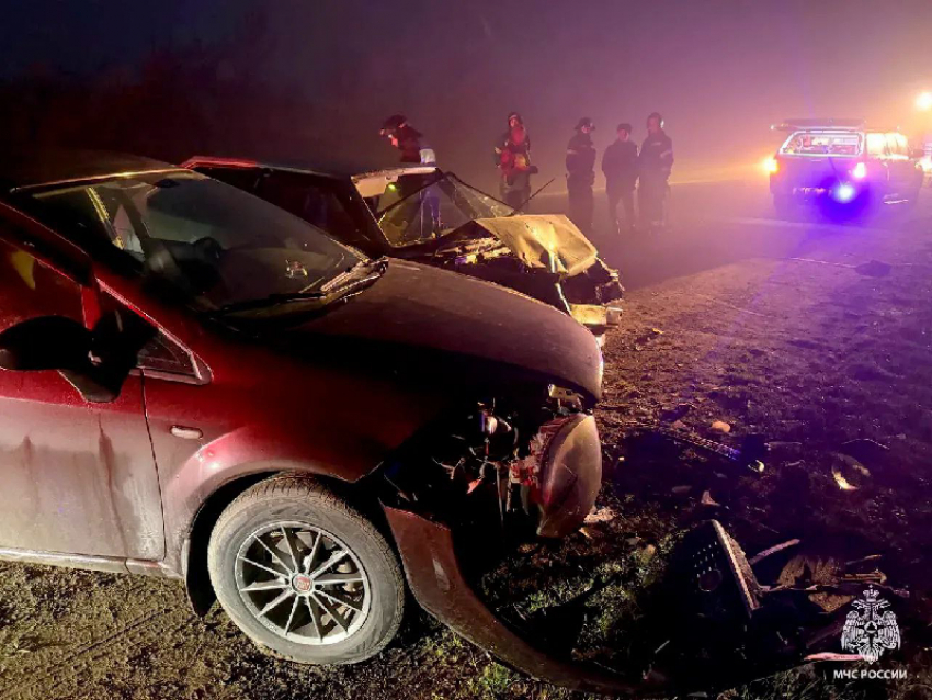 Три человека пострадали в тройном ДТП на мелитопольской трассе 28 ноября