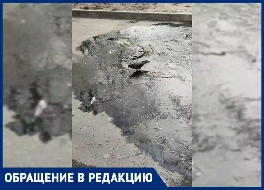 «Вонь невыносимая»: читательница «Блокнота» показала фекальный ручей в Мелитополе