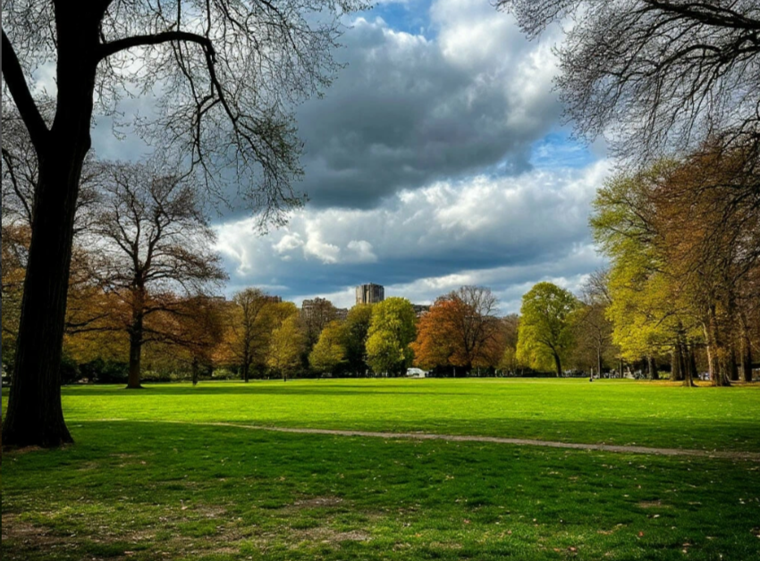 Похолодание и переменная облачность ожидается в Запорожской области 11 июня