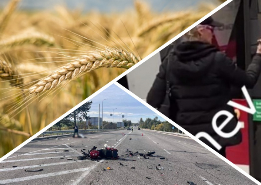 Новости Запорожья: «ведьма» прокляла пассажира автобуса, кровопролитная авария и опасная пшеница