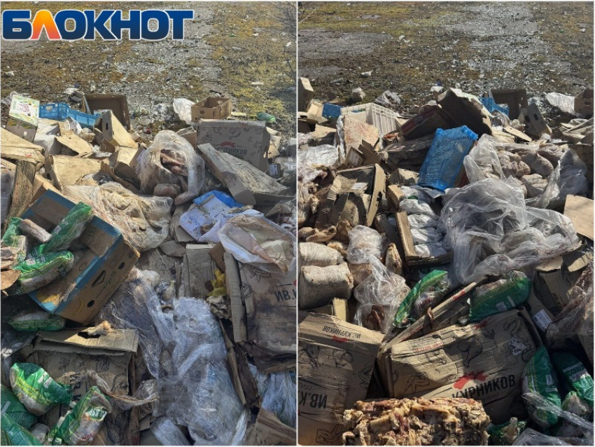 Гора испорченных продуктов появилась под окнами жителей запорожского села Ивановка