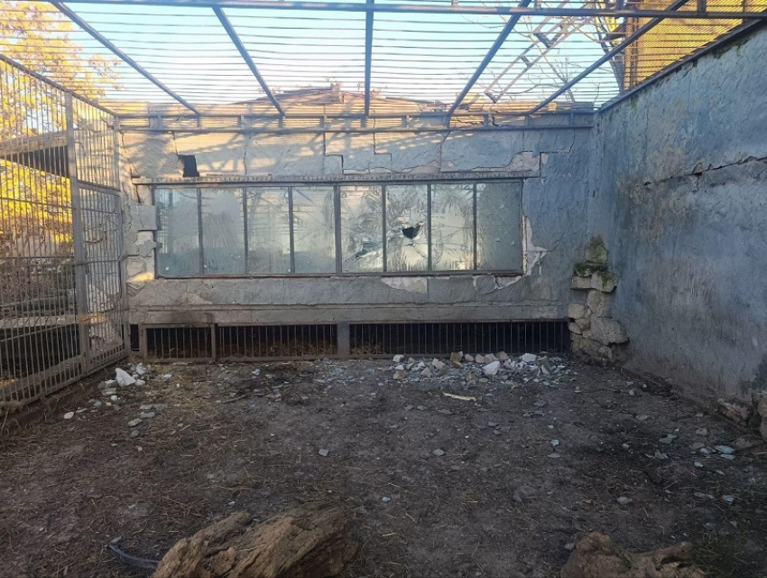 Ростовский парк птиц поможет пострадавшему от удара ВСУ зоопарку в Васильевке 