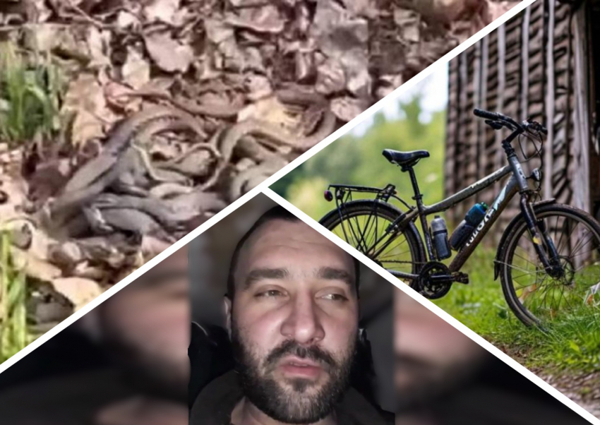 Новости Запорожья: брошенные солдаты ВСУ, кража велосипеда и змеиное логово