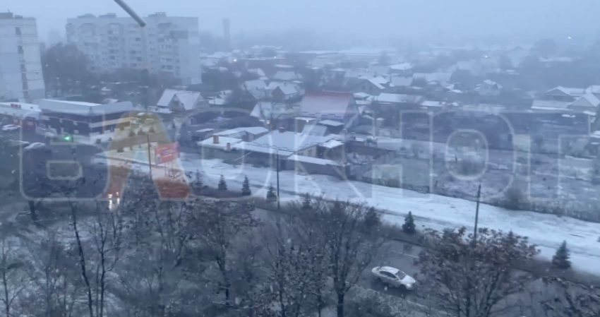 Первый снегопад накрыл всю Запорожскую область утром 10 декабря