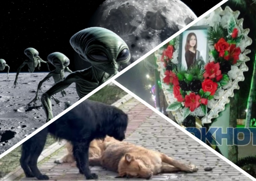Новости Запорожья: пришельцы летят на луну, массовая травля собак и состояние могилы Лизы Мелиховой