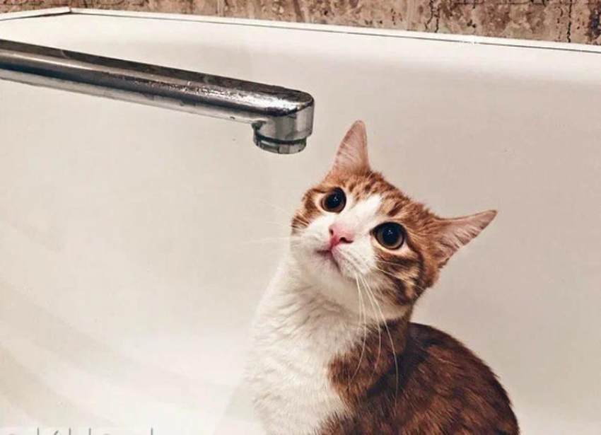 Выяснилось, из-за чего во всем Энергодаре отключили воду утром 1 октября 