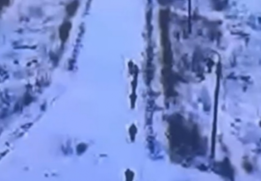 Момент сдачи группы военных ВСУ в плен под Гуляйполем попал на видео