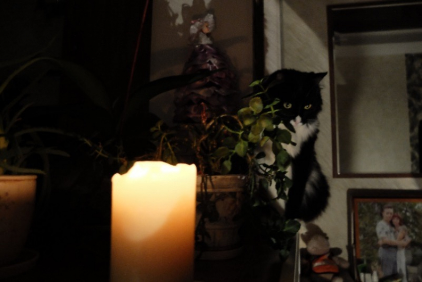 Более 300 запорожцев остаются без света после удара дрона ВСУ по Каменско-Днепровскому округу