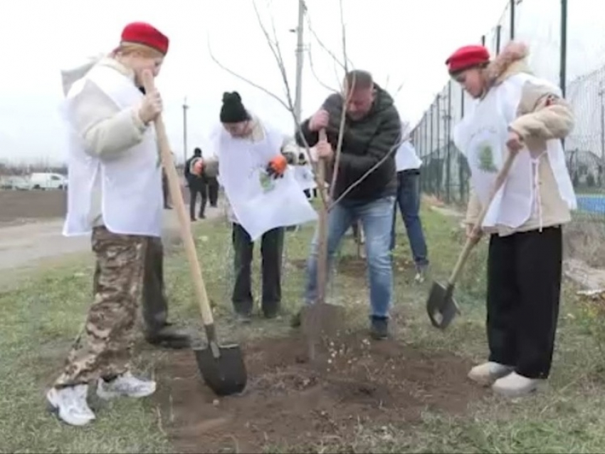 В Запорожской области открыли аллею в память о погибших героях