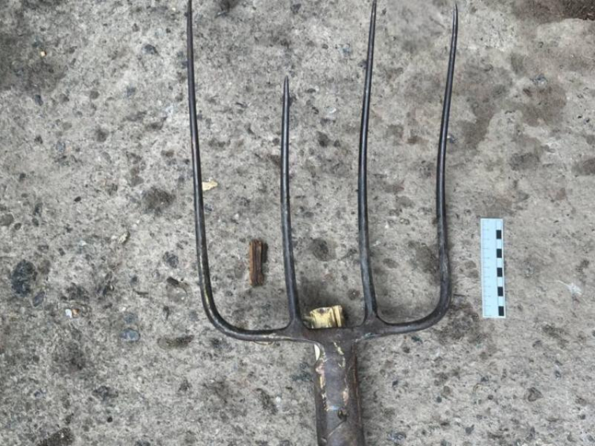 Запорожец насмерть заколол вилами своего дальнего родственника 