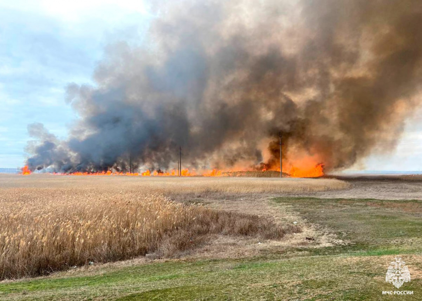 Сотрудники МЧС потушили масштабный природный пожар под Бердянском