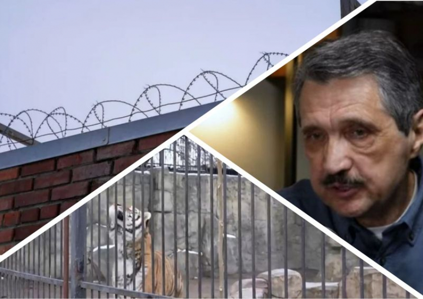 Новости Запорожья: сотрудник ТЦК убил мужчину, восстановление зоопарка и освобождение Гуляйполя к Новому году