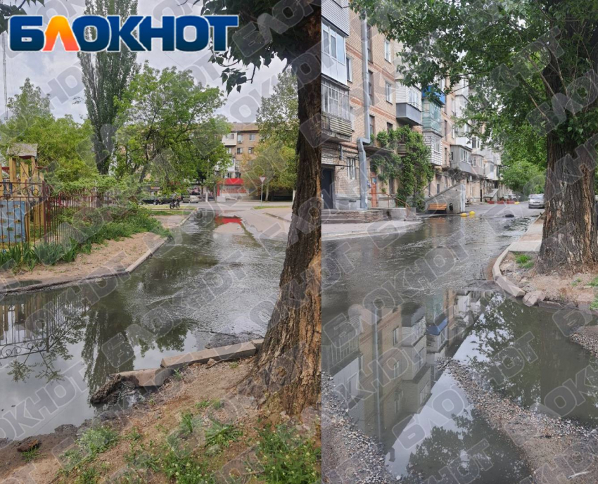 Зловонный ручей во дворе на проспекте Богдана Хмельницкого показали мелитопольцы