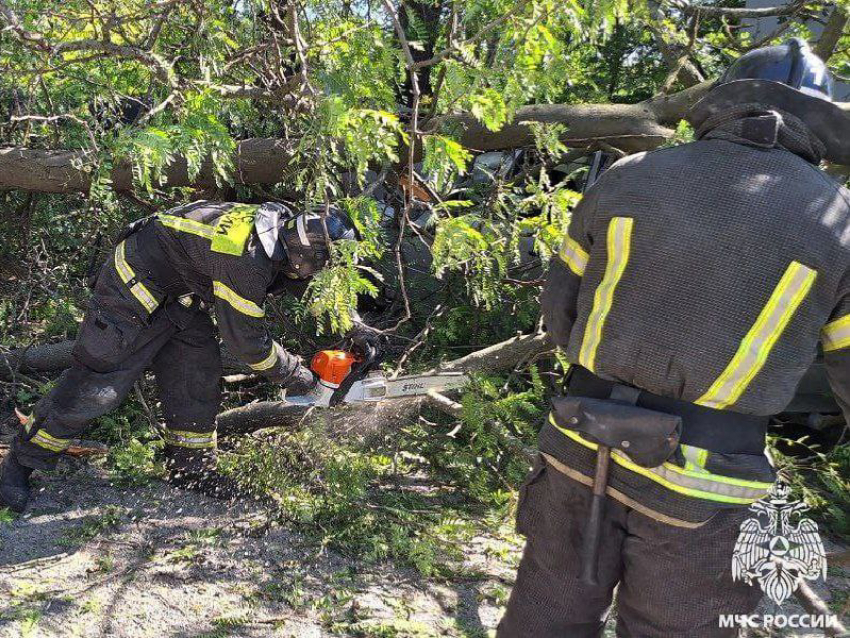 Дерево рухнуло на машину в Мелитополе