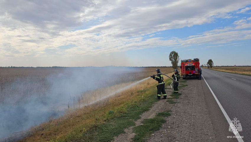 Особый противопожарный режим введен в Запорожской области