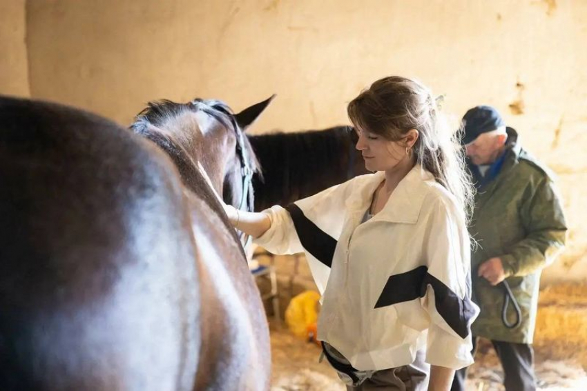 Ростовские ветеринары помогут лошадям, пострадавшим от удара ВСУ по Акимовке
