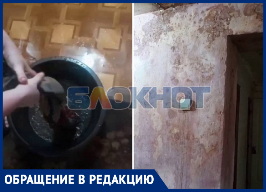 Многодетная семья задыхается от плесени после протечек крыши дома в Михайловке